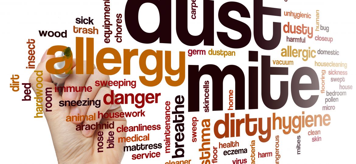A creative word cloud concept focused on allergies, with 'dust mite' as the central large text surrounded by related words like 'allergy,' 'dirty,' 'sneeze,' and 'asthma.' The words are in various sizes, orientations, and colors to emphasize the different aspects and triggers of allergies, all held up against a white background by a hand from the bottom right corner.