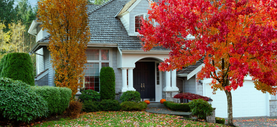 A picturesque suburban home in autumn, featuring a two-story house with gray siding and white trim. A lush front yard with a well-manicured lawn is dotted with fallen leaves in shades of orange and yellow. Vibrant red and golden trees frame the property, providing a colorful canopy and seasonal charm. Two pumpkins near the doorstep add a festive touch to the serene residential setting.
